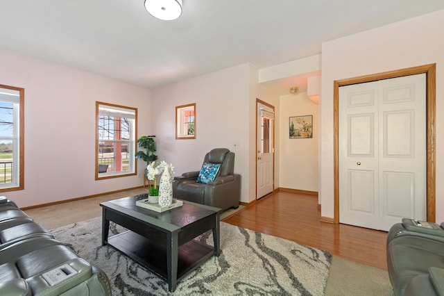 114006 Hundertmark Rd, Chaska, MN 55318 - living area featuring plenty of natural light and wood finished floors