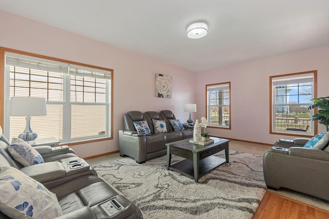 114006 Hundertmark Rd, Chaska, MN 55318 - living room featuring baseboards
