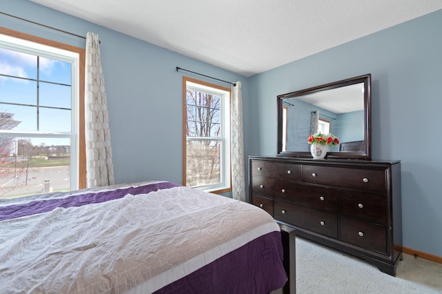 114006 Hundertmark Rd, Chaska, MN 55318 - bedroom with carpet and baseboards