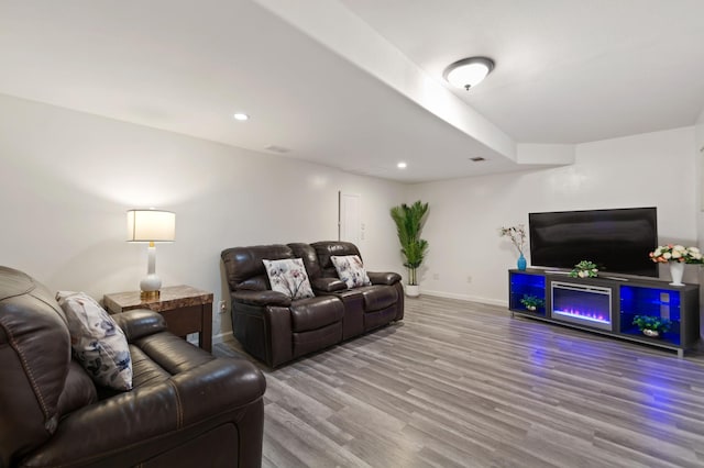 114006 Hundertmark Rd, Chaska, MN 55318 - living room with wood finished floors and recessed lighting