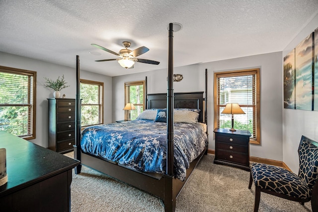 10983 Dunkirk St NE, Blaine, MN 55449 - photo 29