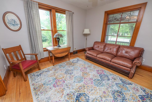 1122 Fillmore St, Alexandria, MN 56308 - living area featuring wood finished floors and baseboards