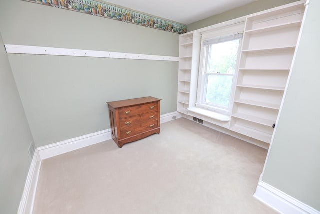 1122 Fillmore St, Alexandria, MN 56308 - walk in closet with carpet flooring