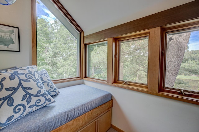 475 Judd St, Marine On Saint Croix, MN 55047 - photo 42