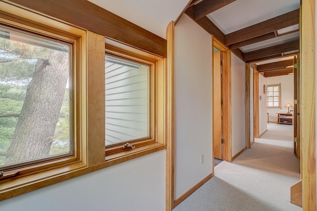 475 Judd St, Marine On Saint Croix, MN 55047 - photo 49