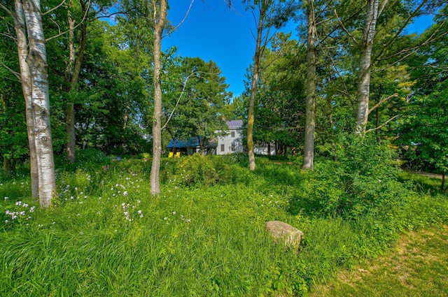 475 Judd St, Marine On Saint Croix, MN 55047 - photo 98