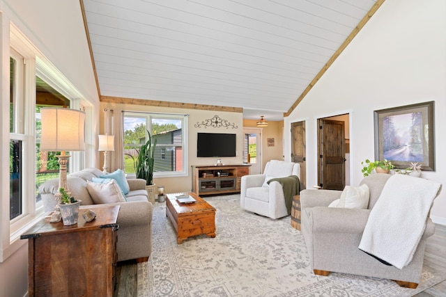 26887 709th St, Lake City, MN 55041 - living room featuring wood finished floors and high vaulted ceiling