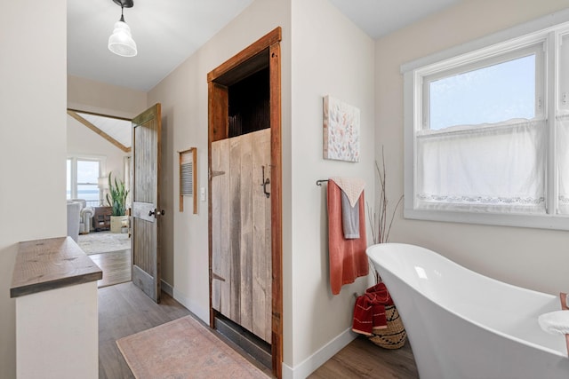 26887 709th St, Lake City, MN 55041 - full bathroom featuring wood finished floors, healthy amount of natural light, a freestanding tub, and a shower