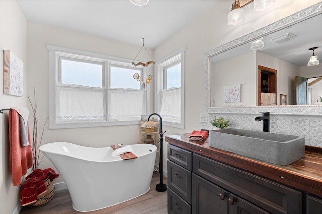26887 709th St, Lake City, MN 55041 - bathroom with wood finished floors, vanity, and a freestanding tub