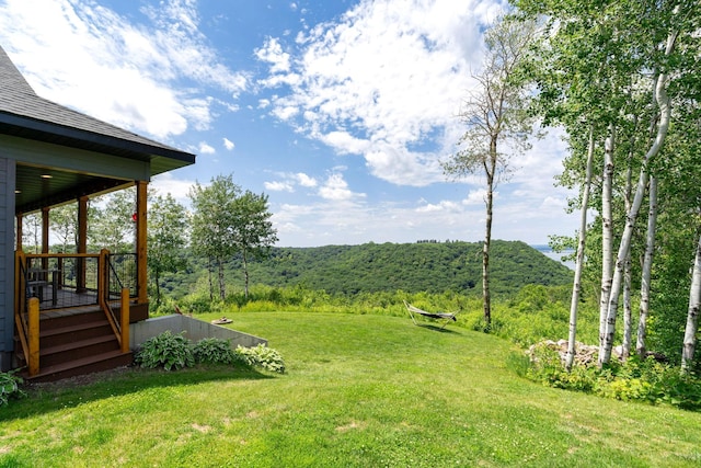 26887 709th St, Lake City, MN 55041 - view of grassy yard with a view of trees