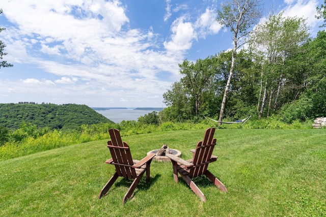 26887 709th St, Lake City, MN 55041 - view of green lawn featuring an outdoor fire pit and a water view
