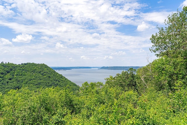 26887 709th St, Lake City, MN 55041 - water view with a forest