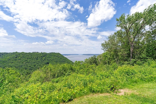 26887 709th St, Lake City, MN 55041 - mountain view featuring a forest