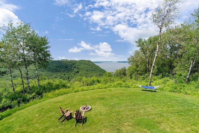 26887 709th St, Lake City, MN 55041 - view of grassy yard featuring an outdoor fire pit