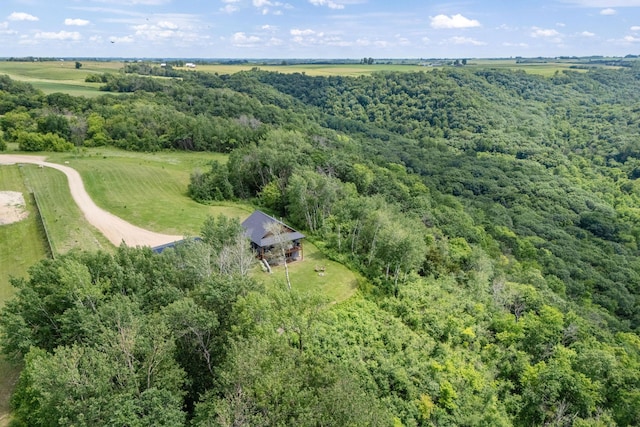 26887 709th St, Lake City, MN 55041 - aerial view of sparsely populated area