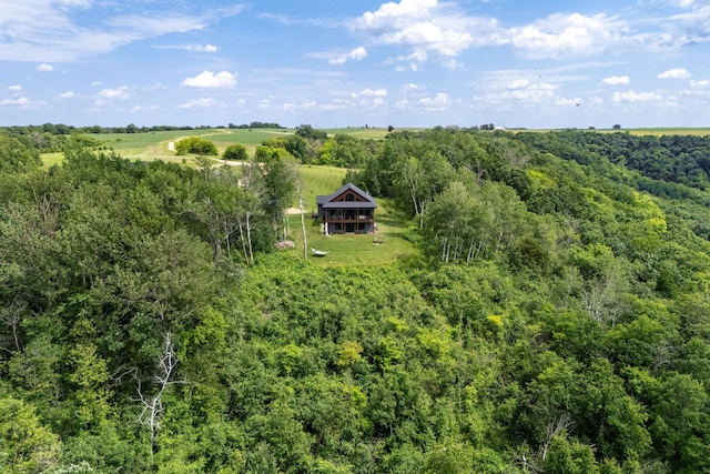 26887 709th St, Lake City, MN 55041 - overview of rural landscape with a heavily wooded area
