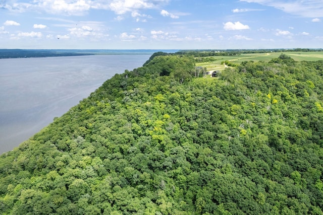 26887 709th St, Lake City, MN 55041 - aerial view of a heavily wooded area