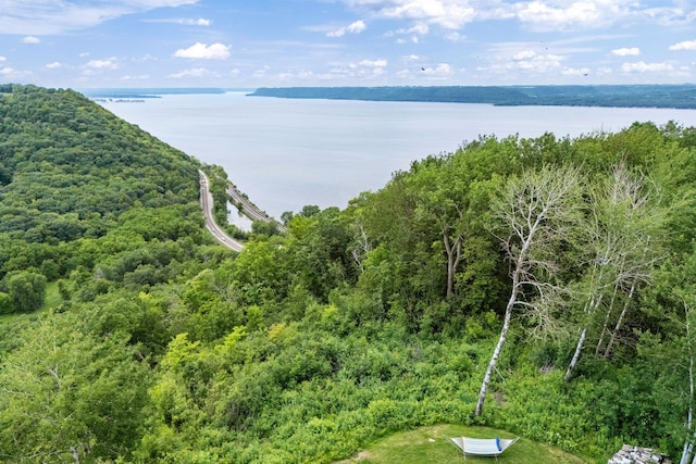 26887 709th St, Lake City, MN 55041 - bird's eye view of a large body of water and a heavily wooded area