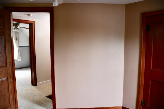 524 Horace Ave N, Thief River Falls, MN 56701 - hallway with carpet floors