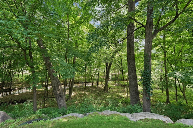 18844 Bearpath Trl, Eden Prairie, MN 55347 - photo 58