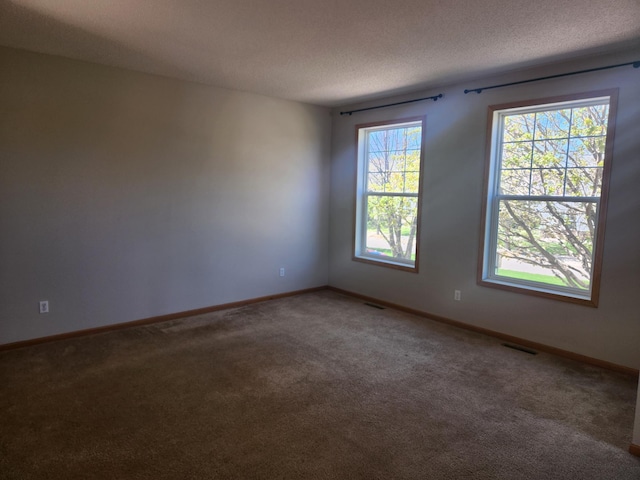 11330 Davenport Cir NE Unit F, Blaine, MN 55449 - spare room featuring carpet flooring and a textured ceiling