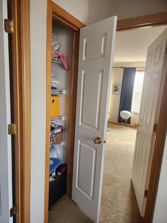11330 Davenport Cir NE Unit F, Blaine, MN 55449 - view of closet