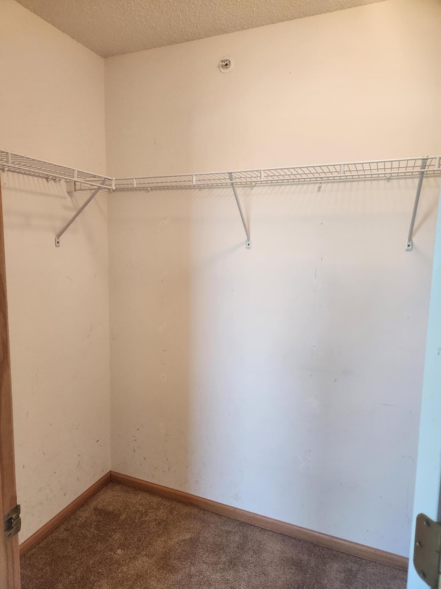 11330 Davenport Cir NE Unit F, Blaine, MN 55449 - walk in closet featuring carpet flooring
