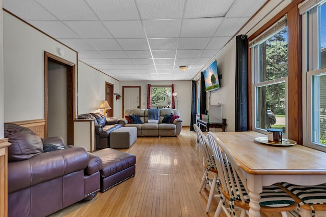 212 31st Ave N, Saint Cloud, MN 56303 - living area featuring a paneled ceiling and hardwood / wood-style floors