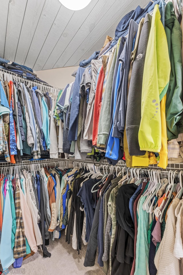 3020 26th Ave S, Fargo, ND 58103 - walk in closet with carpet