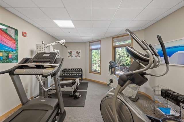 3000 Raleigh Ave Unit 307, Saint Louis Park, MN 55416 - workout room featuring a drop ceiling and carpet flooring