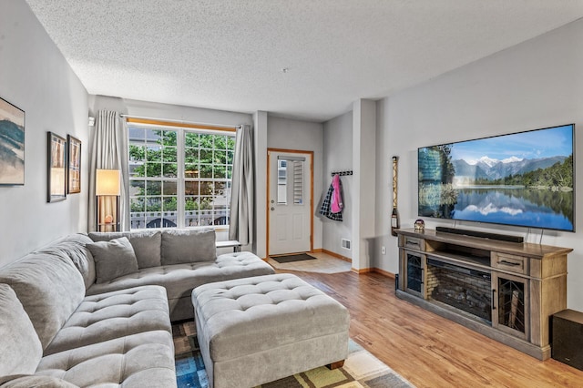 11122 Aberdeen St NE Unit C, Blaine, MN 55449 - living area featuring wood finished floors and a textured ceiling