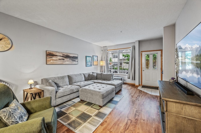 11122 Aberdeen St NE Unit C, Blaine, MN 55449 - living area featuring light wood-type flooring and a textured ceiling