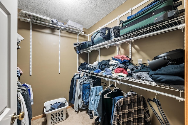 11122 Aberdeen St NE Unit C, Blaine, MN 55449 - walk in closet with carpet