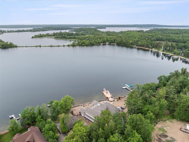 11251 Steamboat Bay Dr, East Gull Lake, MN 56401 - bird's eye view of a large body of water and a forest