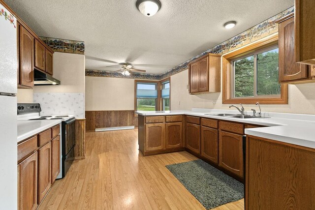 25053 285th Ave, Pierz, MN 56364 - photo 17