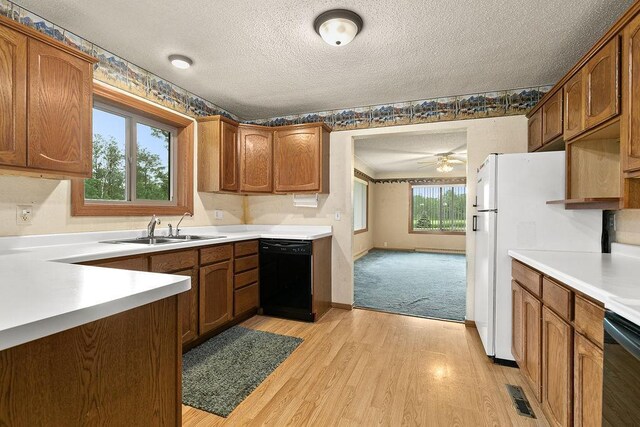 25053 285th Ave, Pierz, MN 56364 - photo 18