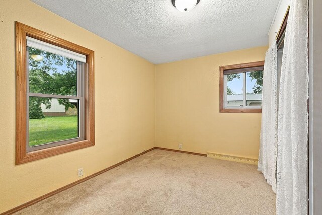 25053 285th Ave, Pierz, MN 56364 - photo 24