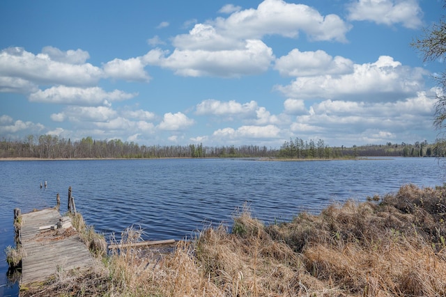 2170 County 5 NW, Hackensack, MN 56452 - water view with a boat dock