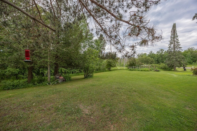 2170 County 5 NW, Hackensack, MN 56452 - view of green lawn