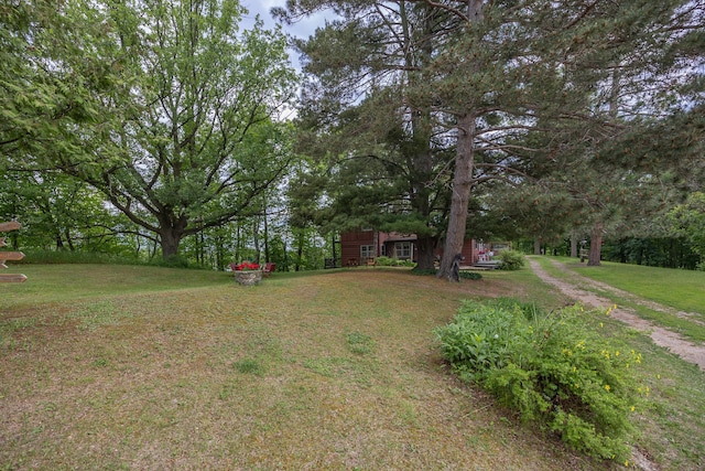 2170 County 5 NW, Hackensack, MN 56452 - view of grassy yard