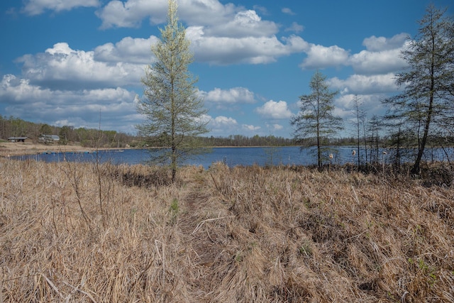 2170 County 5 NW, Hackensack, MN 56452 - water view
