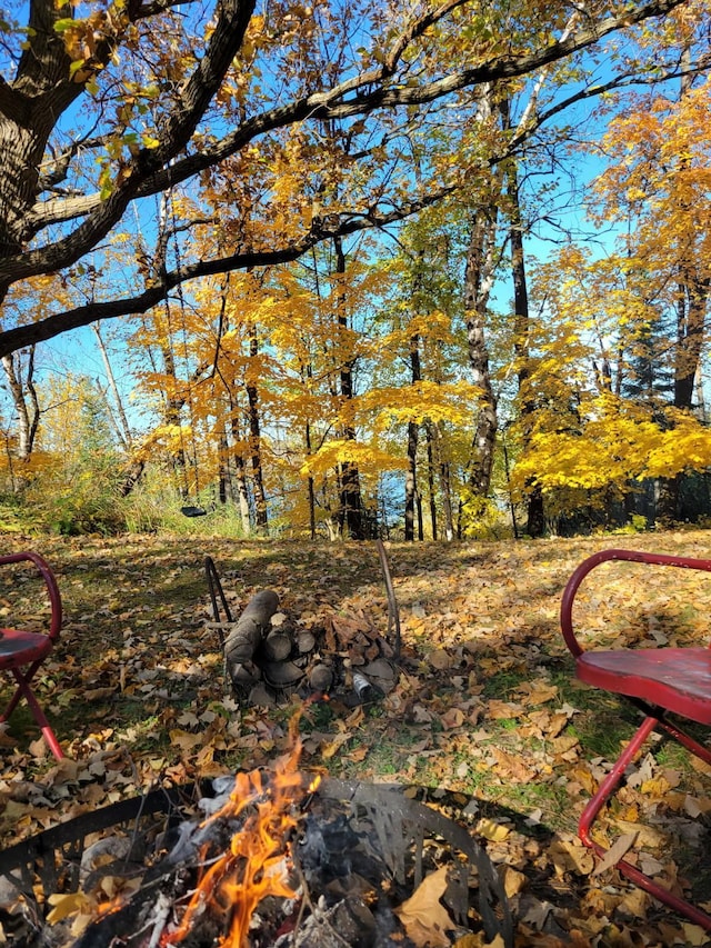 2170 County 5 NW, Hackensack, MN 56452 - view of yard