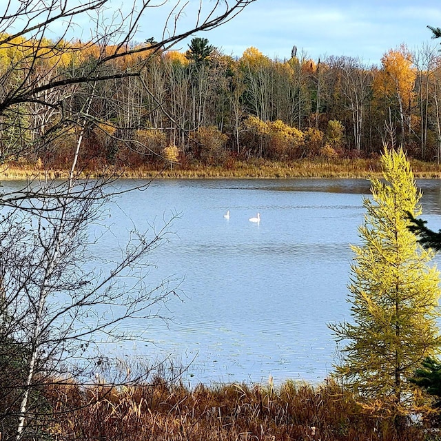 2170 County 5 NW, Hackensack, MN 56452 - water view with a forest
