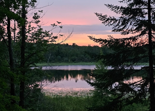 2170 County 5 NW, Hackensack, MN 56452 - water view with a forest
