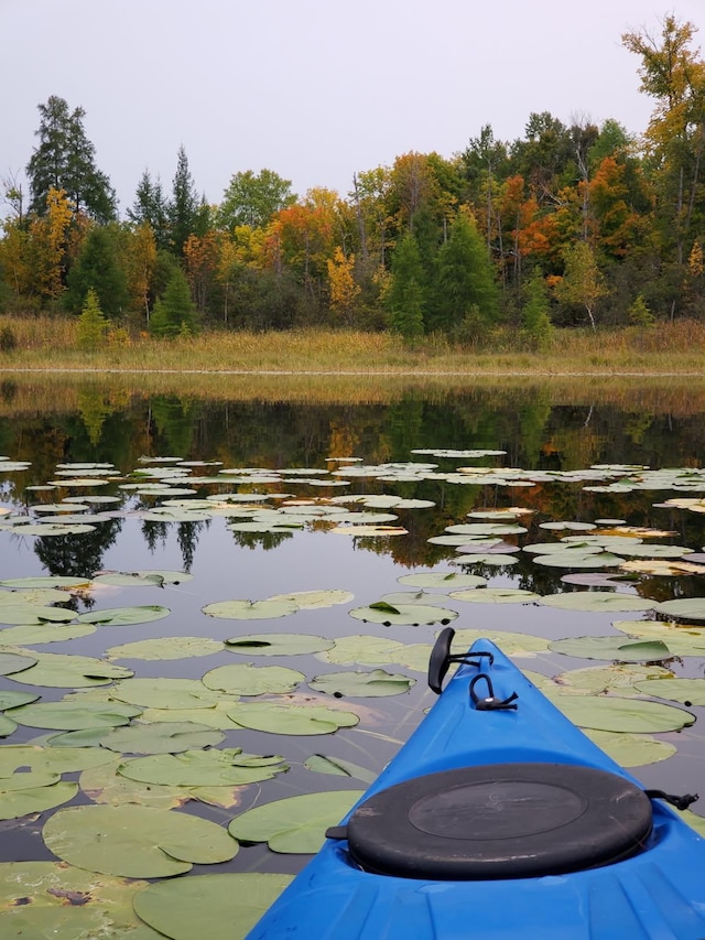 2170 County 5 NW, Hackensack, MN 56452 - dock with a water view and a forest view