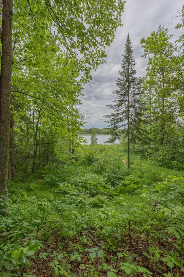 2170 County 5 NW, Hackensack, MN 56452 - view of woods with a water view