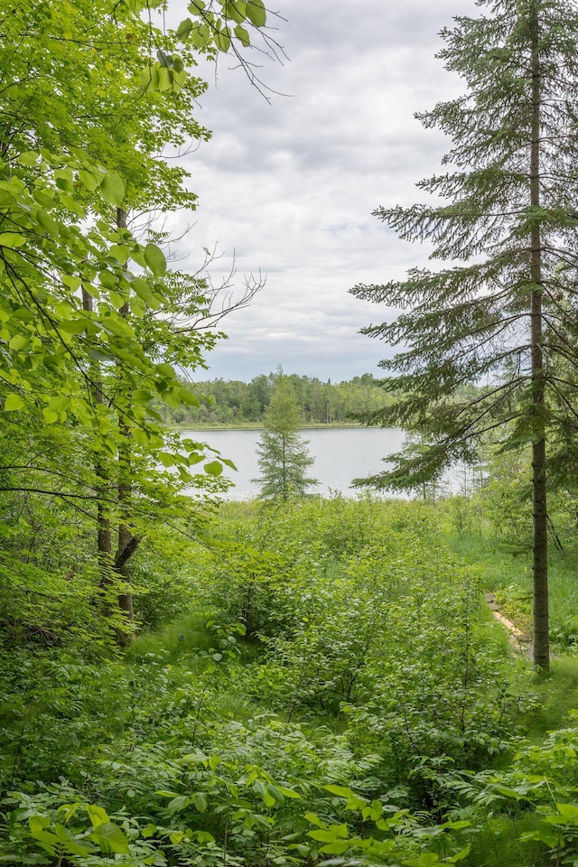 2170 County 5 NW, Hackensack, MN 56452 - water view featuring a forest