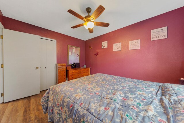1030 Barron Rd, Faribault, MN 55021 - bedroom featuring wood finished floors, ceiling fan, and a closet