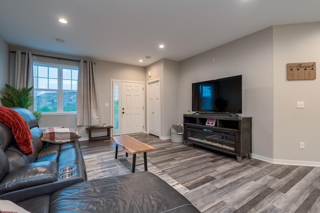 422 Ford St E, Northfield, MN 55057 - living room featuring wood finished floors and recessed lighting
