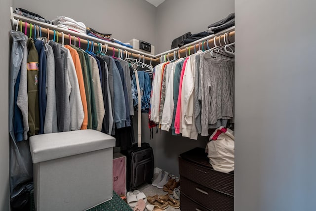 422 Ford St E, Northfield, MN 55057 - spacious closet featuring carpet and a wood stove